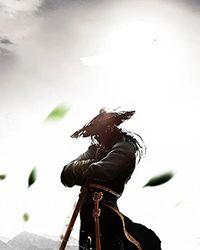 龙血武神 落叶无言