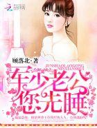 军少老公,您先睡!